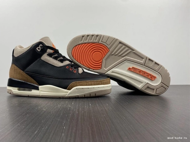 Elephant Desert Air Jordan CT8532-008 3 0709